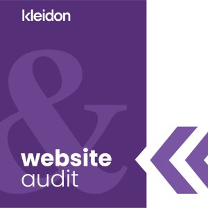 Website audit evaluation